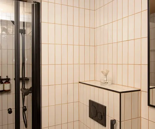 a shower with a small shelf