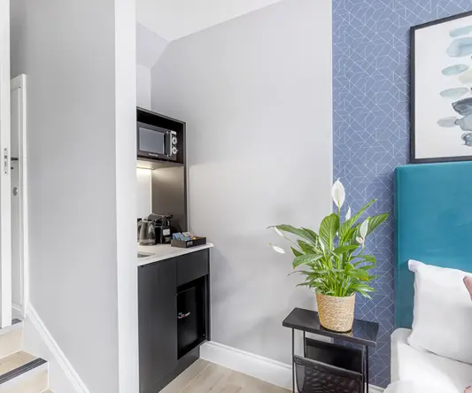 a small kitchen with a plant in a pot