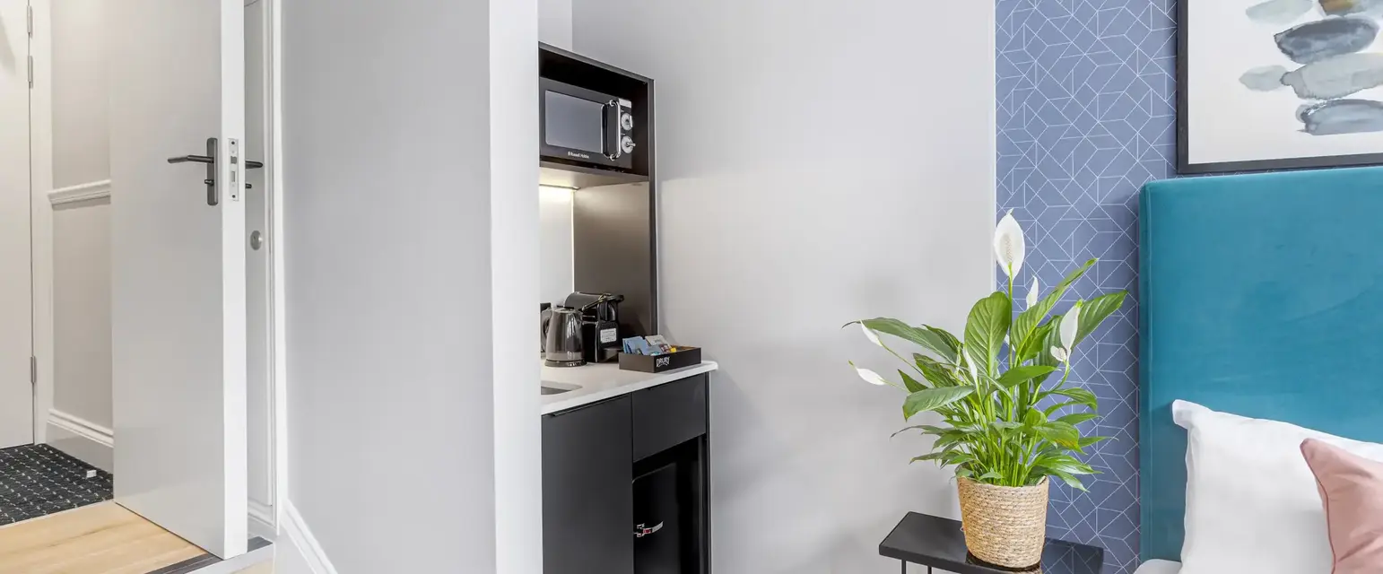 a small kitchen with a plant in a pot