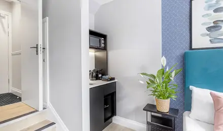 a small kitchen with a plant in a pot