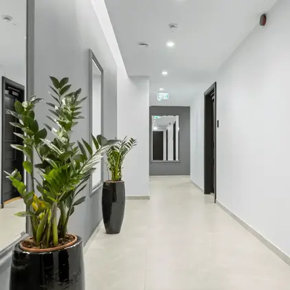 Bob W Tallinn City Centre - Ambassador Interior Corridor Plants