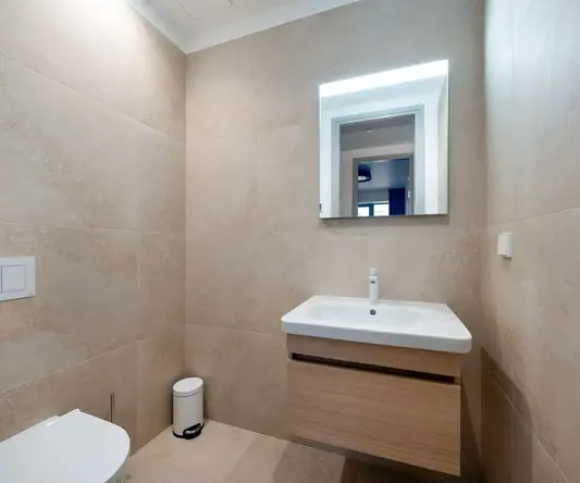 a bathroom with a sink and a toilet