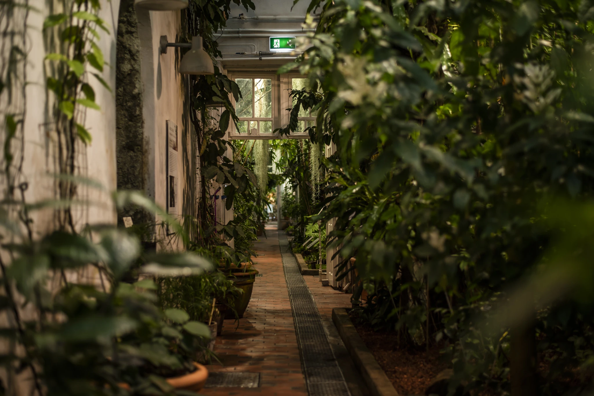 Bob W_Helsinki City Centre_Glasshouse corridor Bob W_Helsinki City Centre_Glasshouse corridor