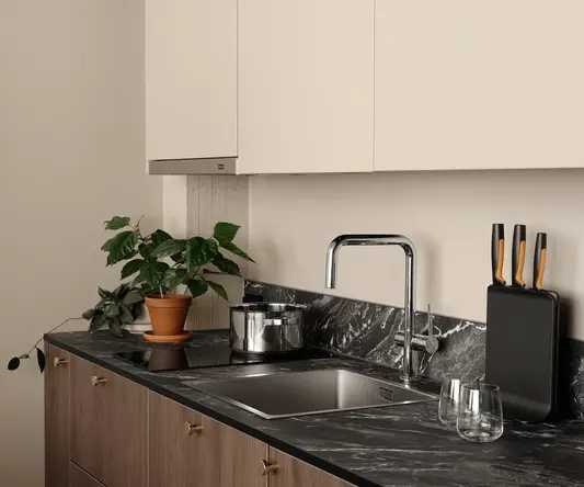 a kitchen counter with a sink and a plant