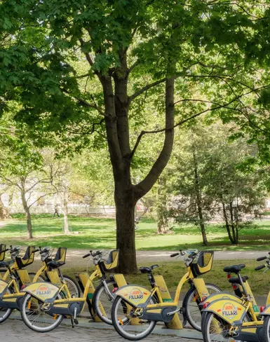 Pärnu - Sustainability - Primary Image