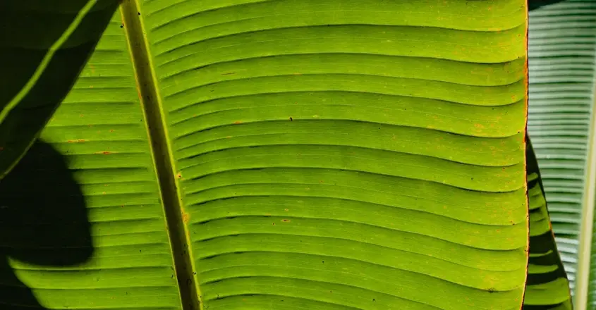 Sustainability