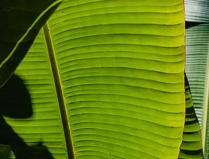 Sustainability