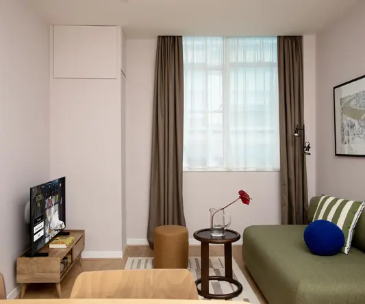 a room with a couch and a television