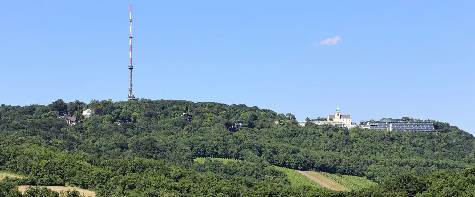 a hill with trees and a tower, By C.Stadler/Bwag - Own work, CC BY-SA 4.0, https://commons.wikimedia.org/w/index.php?curid=49935708