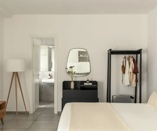 a room with a mirror and a bed