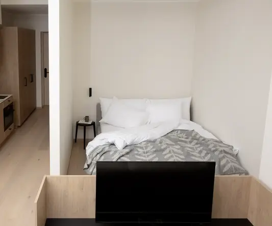 a bedroom with a tv and a wood floor