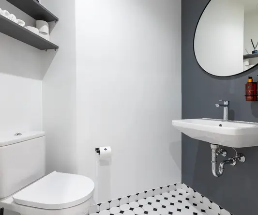 a bathroom with a toilet and sink