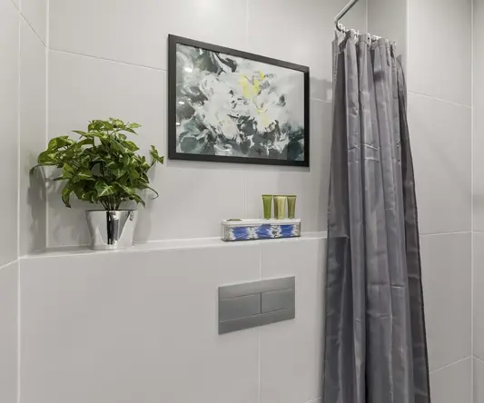 a shower with a grey curtain and a plant