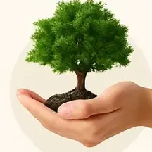 a hand holding a tree