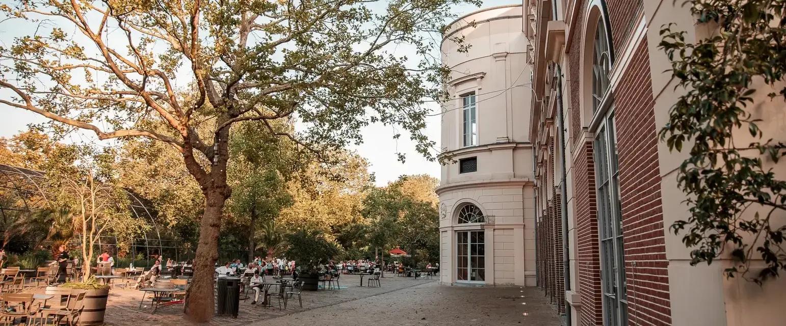 De Plantage serves more than meals — it’s where local flavours meet a relaxed, leafy atmosphere.