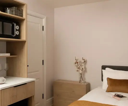 a bedroom with a bed and a bookcase