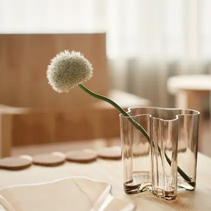 a flower in a glass vase