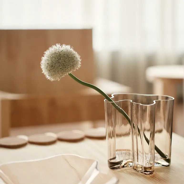 a flower in a glass vase