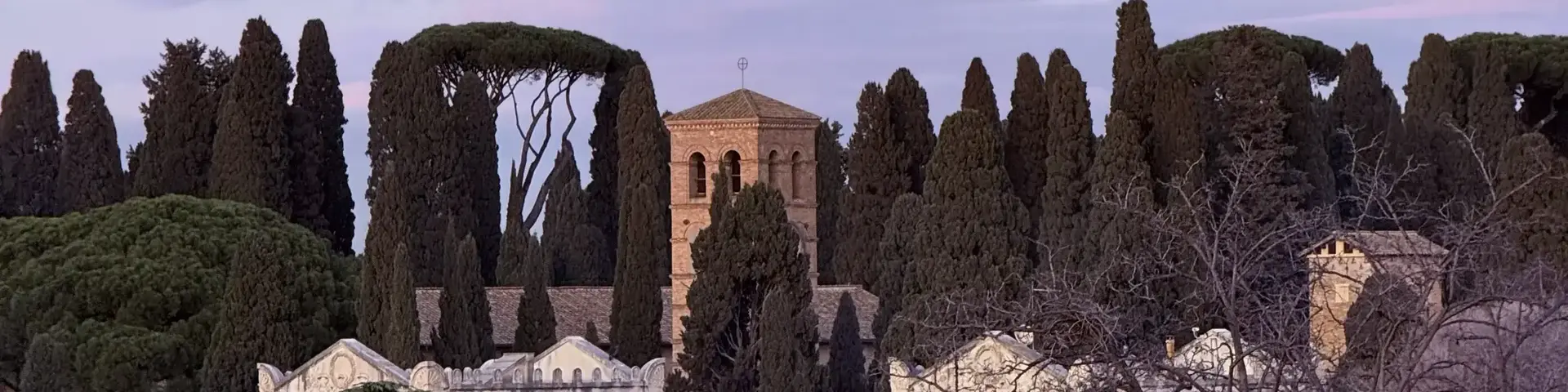 a group of trees and buildings