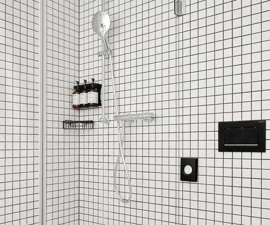 a bathroom with a shower and toilet