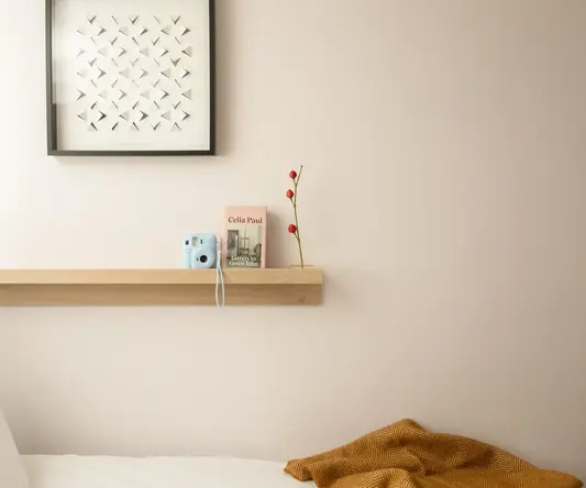 a shelf with a picture and a picture of a camera on it