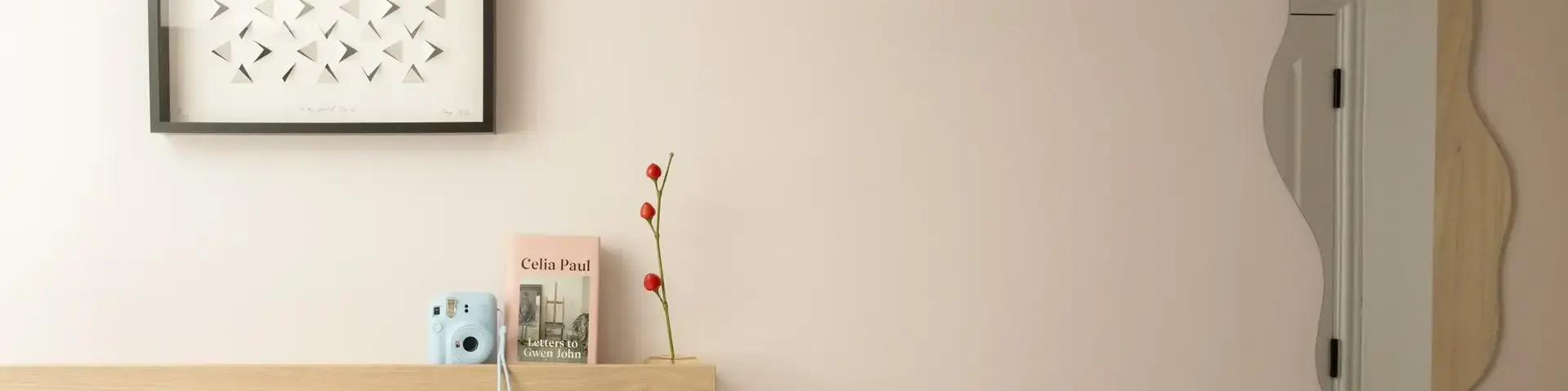 a shelf with a picture and a picture of a camera on it