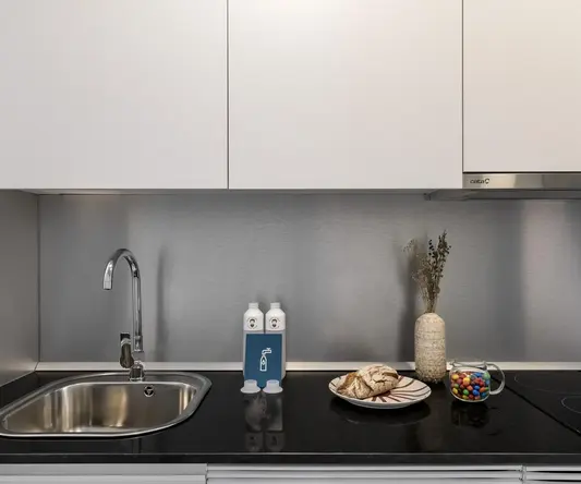 a kitchen counter with a sink and a plate of food