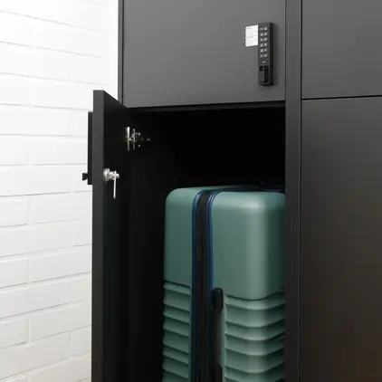 Suitcase in a locker