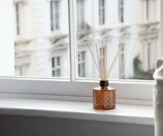 a glass bottle with sticks in it sitting on a window sill