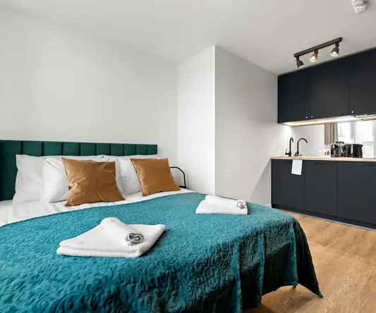 a bedroom with a bed and a sink