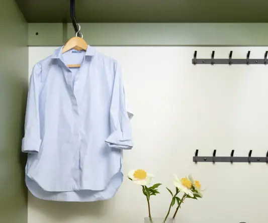 a shirt on a swinger