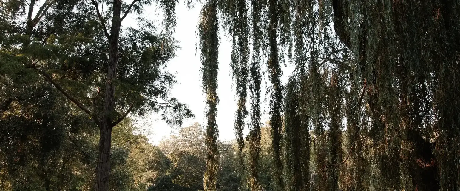 Oosterpark is the city’s green heartbeat — perfect for a stroll, a pause, or just soaking in the local rhythm.