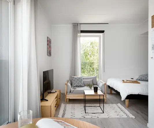 a room with a couch and a tv