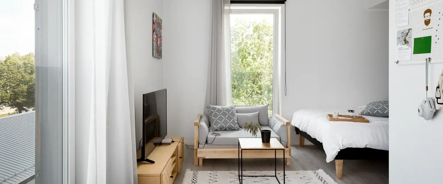 a room with a couch and a tv