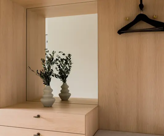 a mirror and plant on a shelf