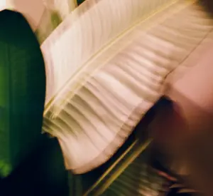 a blurry image of a person's face