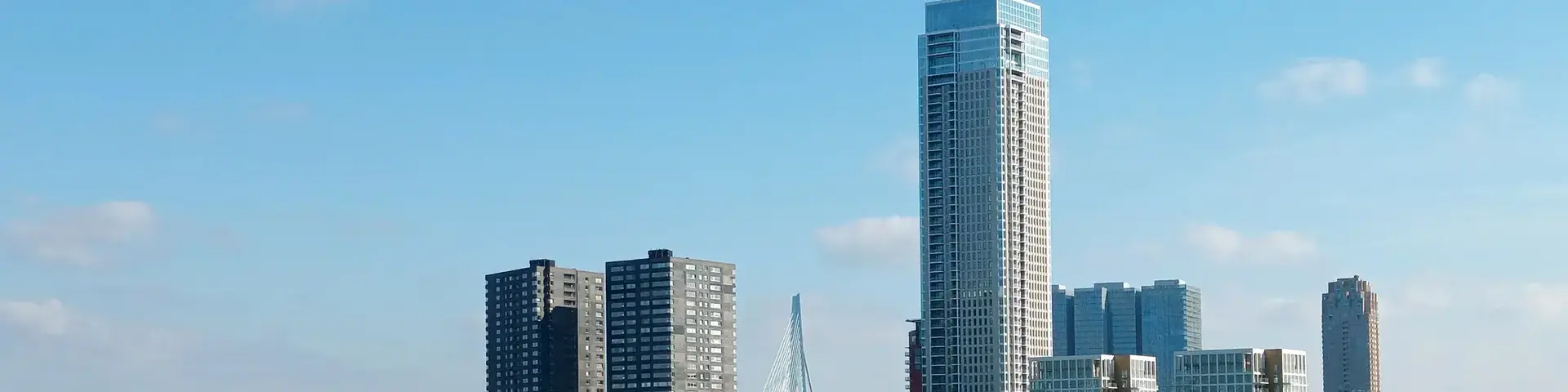 Rotterdam Skyline