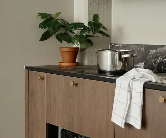 a dishwasher with a pot and potted plant