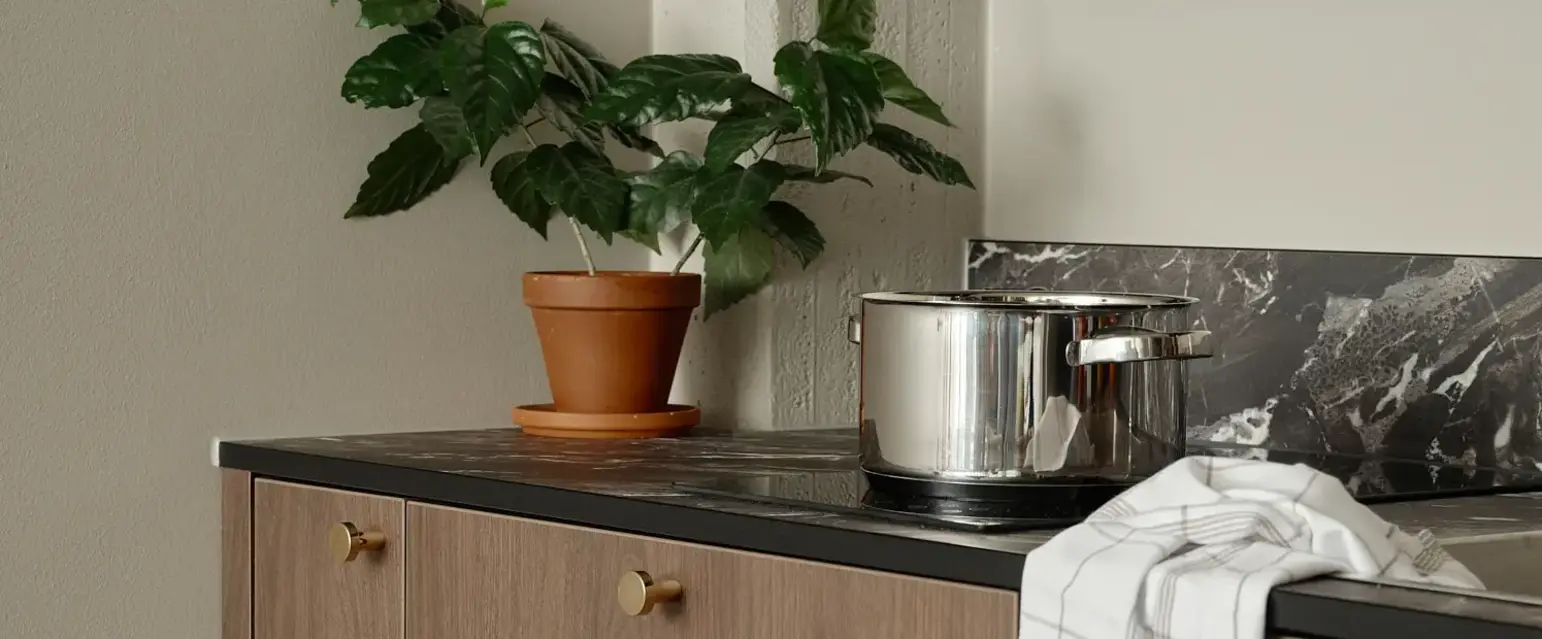 a dishwasher with a pot and potted plant