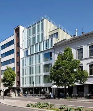 a street with trees and buildings