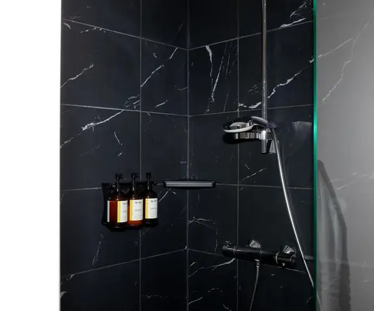 a shower with bottles of liquid on the wall