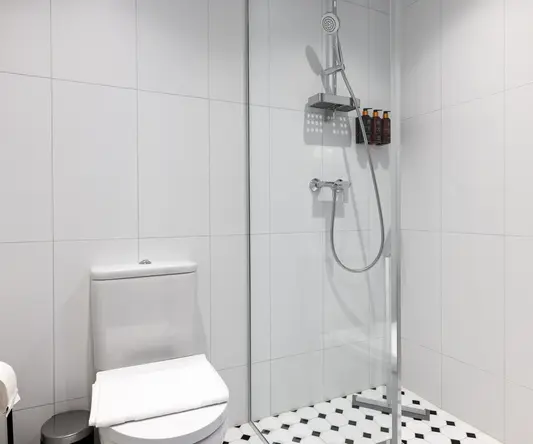 a bathroom with a shower and toilet