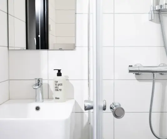 a bathroom with a shower and a mirror