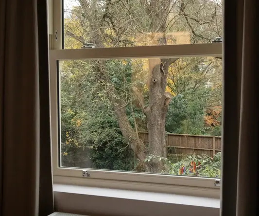 a window with trees outside