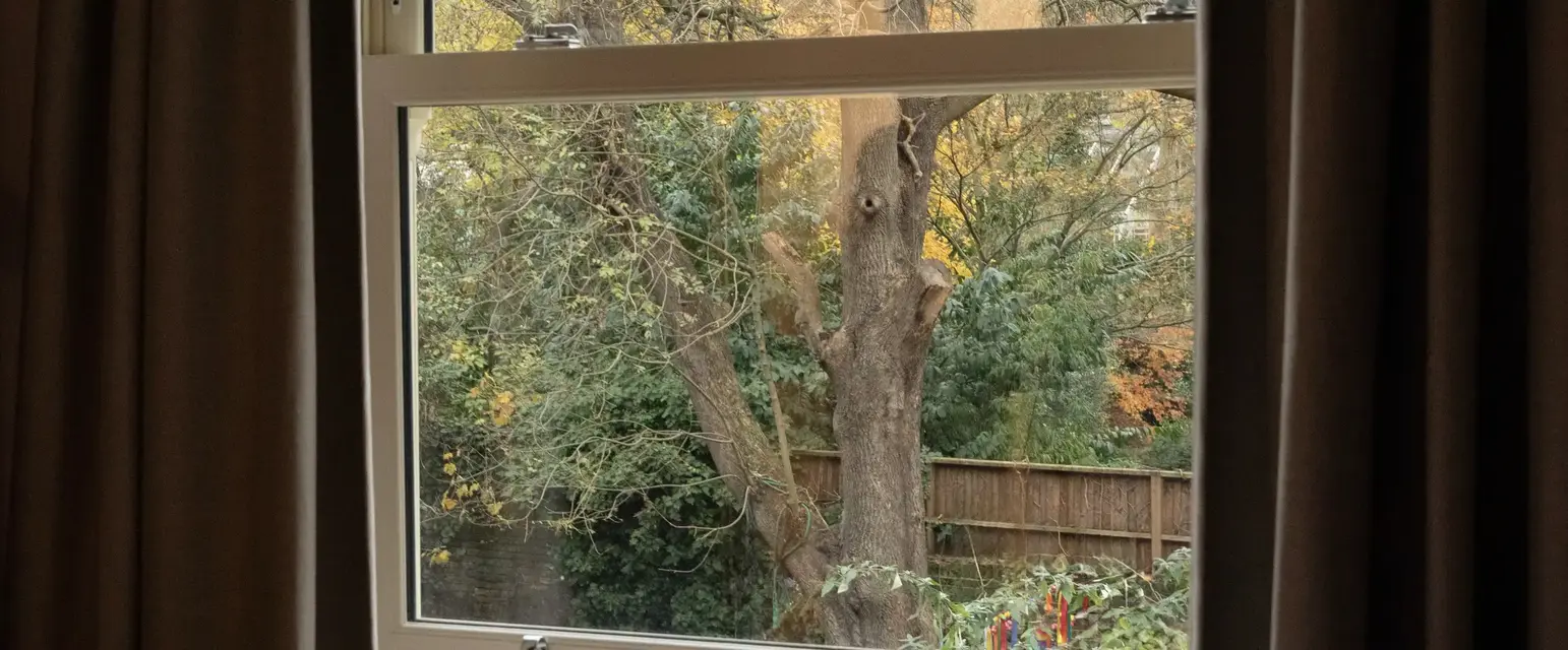 a window with trees outside