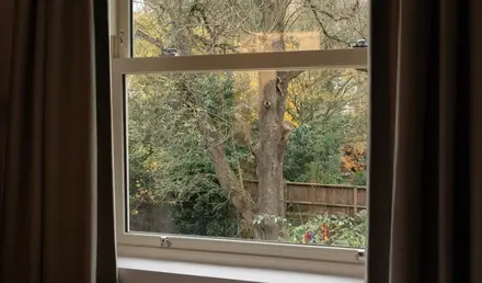 a window with trees outside