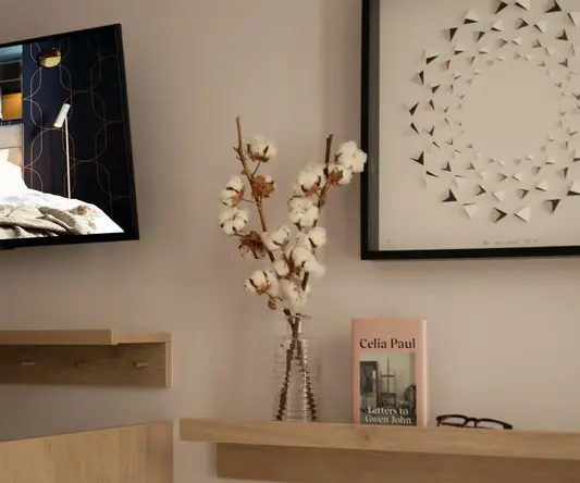 a shelf with a plant and a tv on it