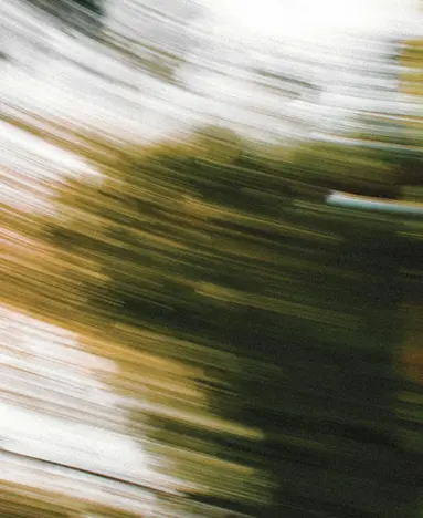 a blurry image of a tree