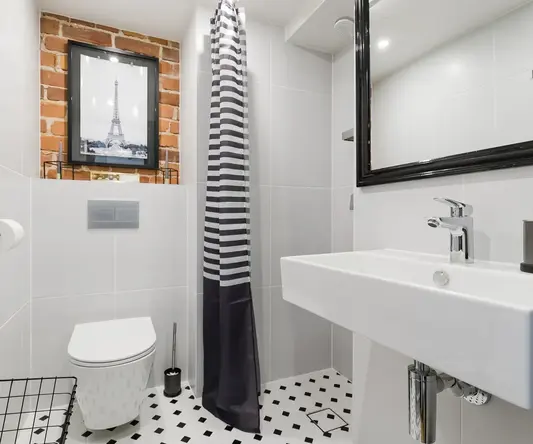 a bathroom with a sink toilet and mirror