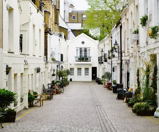a street with white buildings and plants